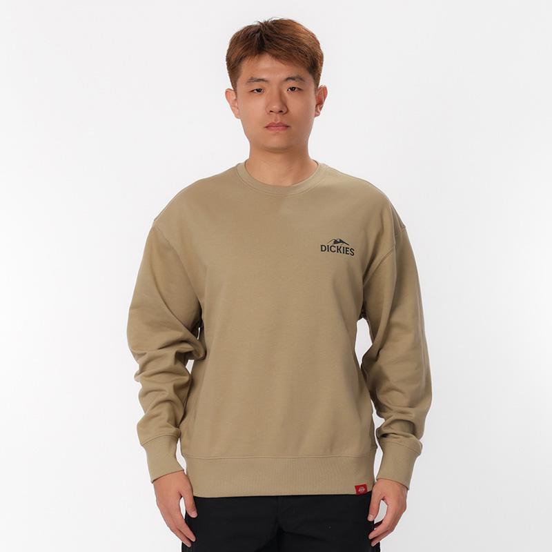 Dickies Толстовки Мужские С круглым вырезом Умеренный Обычный DK0A87D8