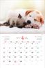 Календарь Накаёши Собаки/Ньян на 2025 год Каждый день – время отдыха > ([Календарь])