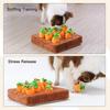 And Vegetable Carrot Garden Interactive Dog Plush Toys For Pet Relief Stress
