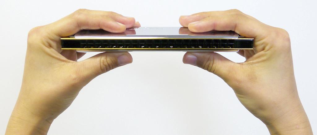 TOMBO Double Note Harmonica Key Special Band 21 Holes 1521 F#m