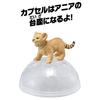 TAKARA TOMY Игрушка динозавр Ania Lion Animal Ages AC-01 (Дети) 3+