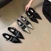 French Thick Heel Mary Jane Shoes Spring and Autumn Women's Shoes 2025 New Popular Pointed Small Leather Shoes Evening Silver Single Shoes