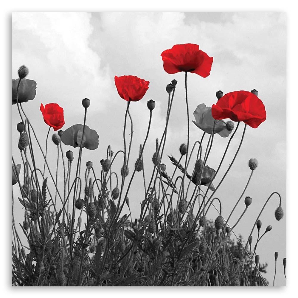 Canvas print, Red poppy flowers