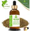 Pure Herbs Celery Seed 100% Pure & Natural Apium Graveolens Essential Oil ZA 277
