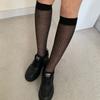 C S In The Room Modern Sheer Ribbed Knee SoCkS 3 ColorS 1 Set
