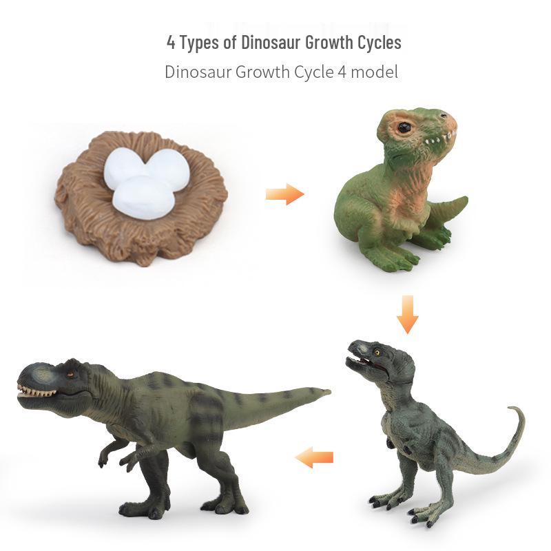 Montessori Animal & Plant Growth Cycle Teaching Toys for Kids