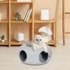 2 In 1 Cat Tunnel Bed Donut Cave Hideaway Pet Circle Hideout for Indoor Cats