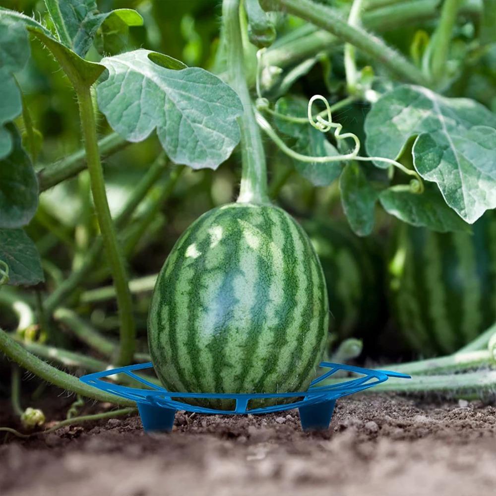 1pc Anti-Rotting Watermelon Stand Gardening Stand Vegetables Gardening Stand  Pumpkin Watermelon