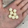 10 шт. Ракушечный порошок Резьба узор Жуи Круглые бусины 11x12 мм Сквозное отверстие Свободные бусины-разделители для изготовления браслетов, ожерелий, украшений своими руками