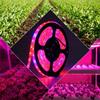 USB LED Full Spectrum Phyto Lamp USB 5V Grow Light Strip 1m 2m 3m 2835 SMD Plants Flowers LED Hydroponic Garden Plants Growing