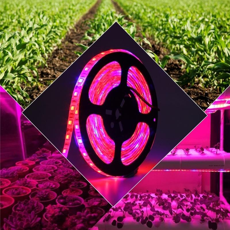 USB LED Full Spectrum Phyto Lamp USB 5V Grow Light Strip 1m 2m 3m 2835 SMD Plants Flowers LED Hydroponic Garden Plants Growing