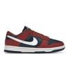Dunk Low Canyon Rust Blue Женские кроссовки Red Summit-White Valerian-Blue DD1503-602