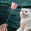 Electric Cat Toy Flower Exercise Kitten Toy Automatic Electric Rotating Flower Cat Teaser For Indoor Cat And Puppy Exercise
