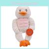 Fitness Frog Muscular Duck Plush Toys Cute Animal Stuffed Dolls Kids Soft Gifts