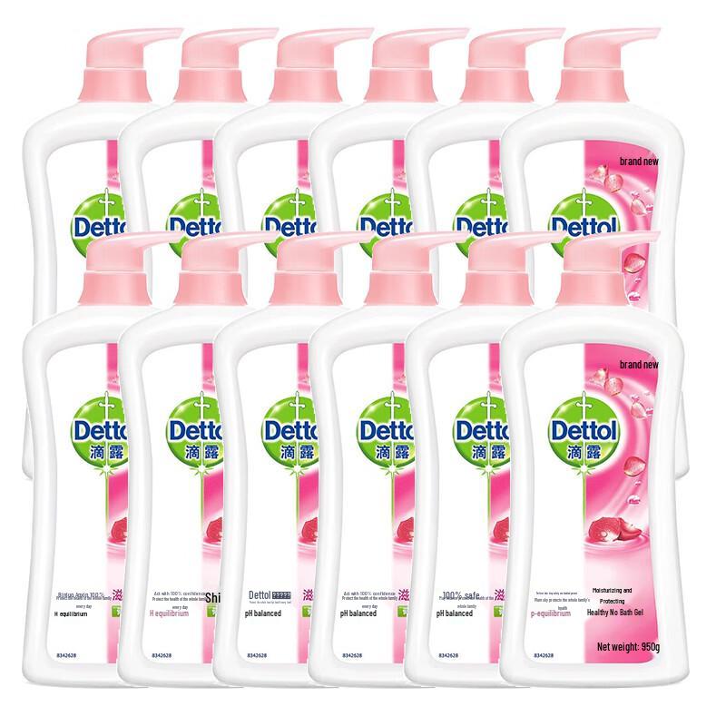 Dettol Moisturizing Body Wash (Bulk Case)