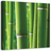 Canvas Print Bamboo Zen Spa Nature