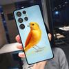 Lovely Birds Hummingbird Cover For Samsung Galaxy S25 S24 S21 S22 S23 Ultra S9 S10 Plus S24 FE S21 FE Phone Case