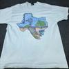 Vintage Texas T Shirt Mens XL Screen Stars Windmill Bluebonnet 90s USA vintage Washed Stretched