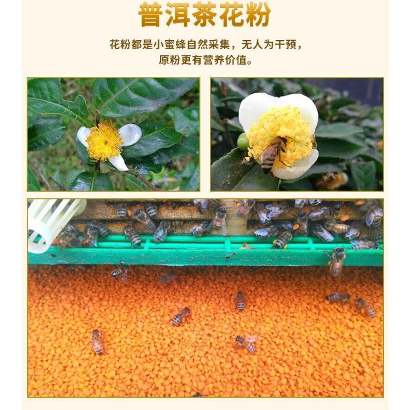 Yunnan Source Отборный гранулированный весенний чай Пуэр с пыльцой и почвой, 200 г