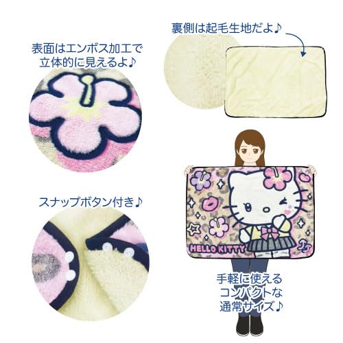 Hatayama Shoji Sanrio 3D Throw, 70x100cm, Hello Kitty Brown, Approx. H70xW100cm, 66203224