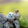 Micro Landscape Accessories Owl Ornament Animal Resin Miniatures Figurine DIY Home Decor 2pcs