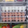 34 Eggs Holder Storage Box Picnic KTY