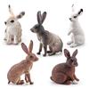 Simulation Forest Animal Rabbit Model Mini Farm Ranch Static Hare Five-Piece Ornament Toy