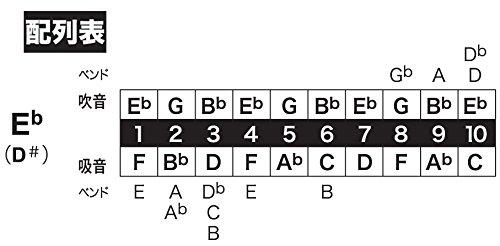 Губная гармошка TOMBO с 10 отверстиями Major Boy 1710 E