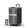 W-King K12 Outdoor Trolley Bluetooth Karaoke Speaker