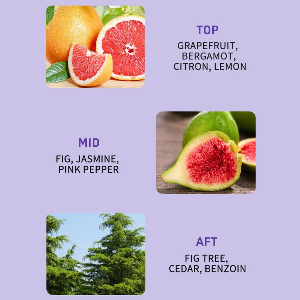 Женская туалетная вода Attraction And Confidence Мужской спрей длительного действия Мужской спрей для тела Духи 250 мл