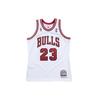 Mitchell & Ness НБА АУ 95-96 Мужской AJY4LG19009-CBUWHIT95MJO
