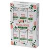 5x Rose Fragrance Oil - Regal Rose
