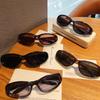 y2k Vintage Cat Eye Sun Glasses Women For Men Luxury  Designer Sun Glasses Punk Popular Hip Hop Eyewear Outdoor Sport Goggle