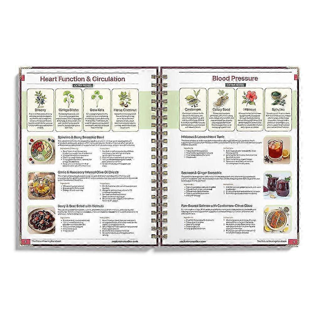 The Natural Healing Handbook - Herbal Remedies & Ancient Recipes Guide-lhh Emgt