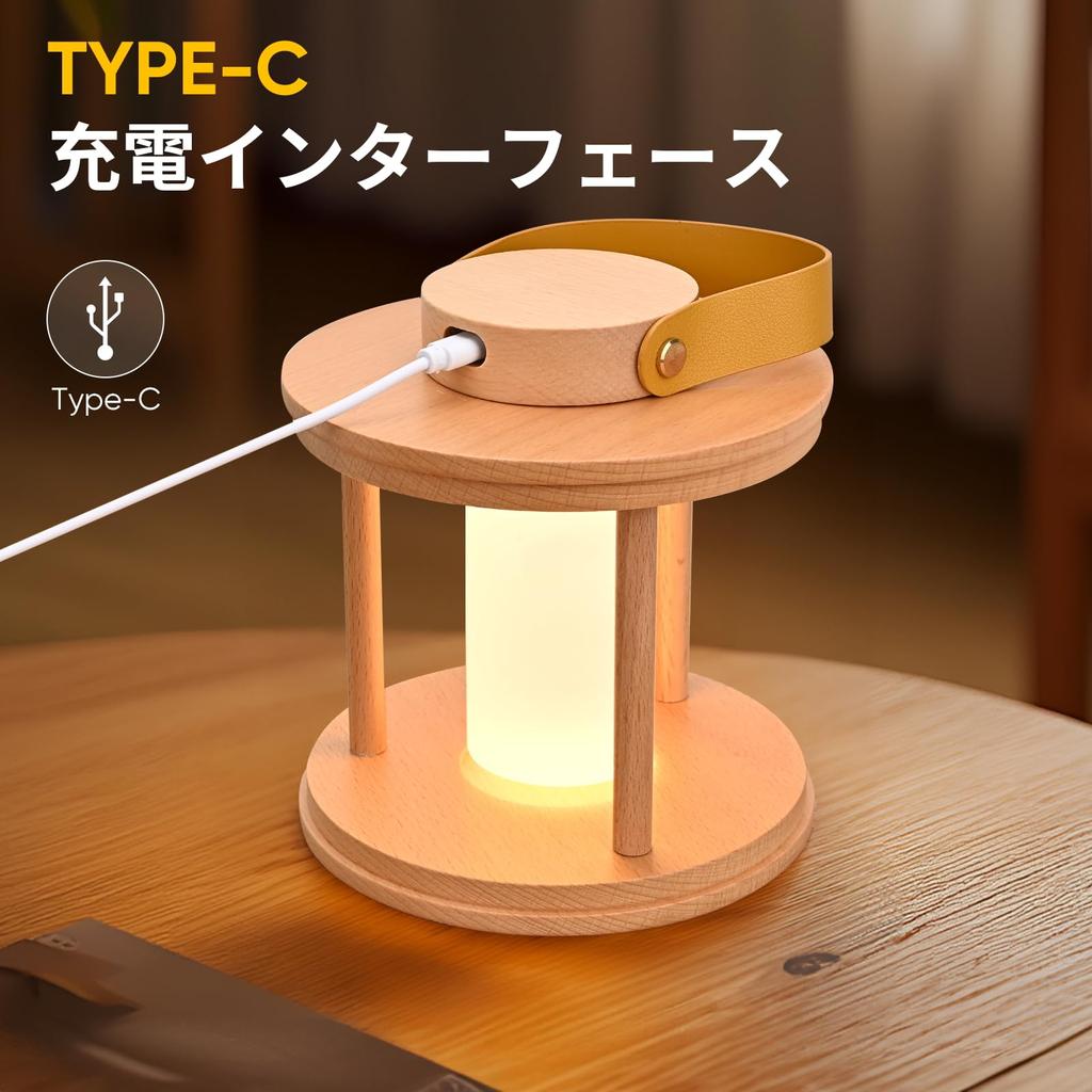 LED Cordless Table Lamp Rechargeable Lamp with Dimmable Eye Care Lighting Portable Touch Lamp for Outdoor Camping Living Room Bedroom Bedside Office