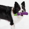 Funny Carrot Bitter Melon Pet Toys Realistic Fruit Vegetable Dog Chew Toy Squeaky Latex Teething Toy for Puppies for Small