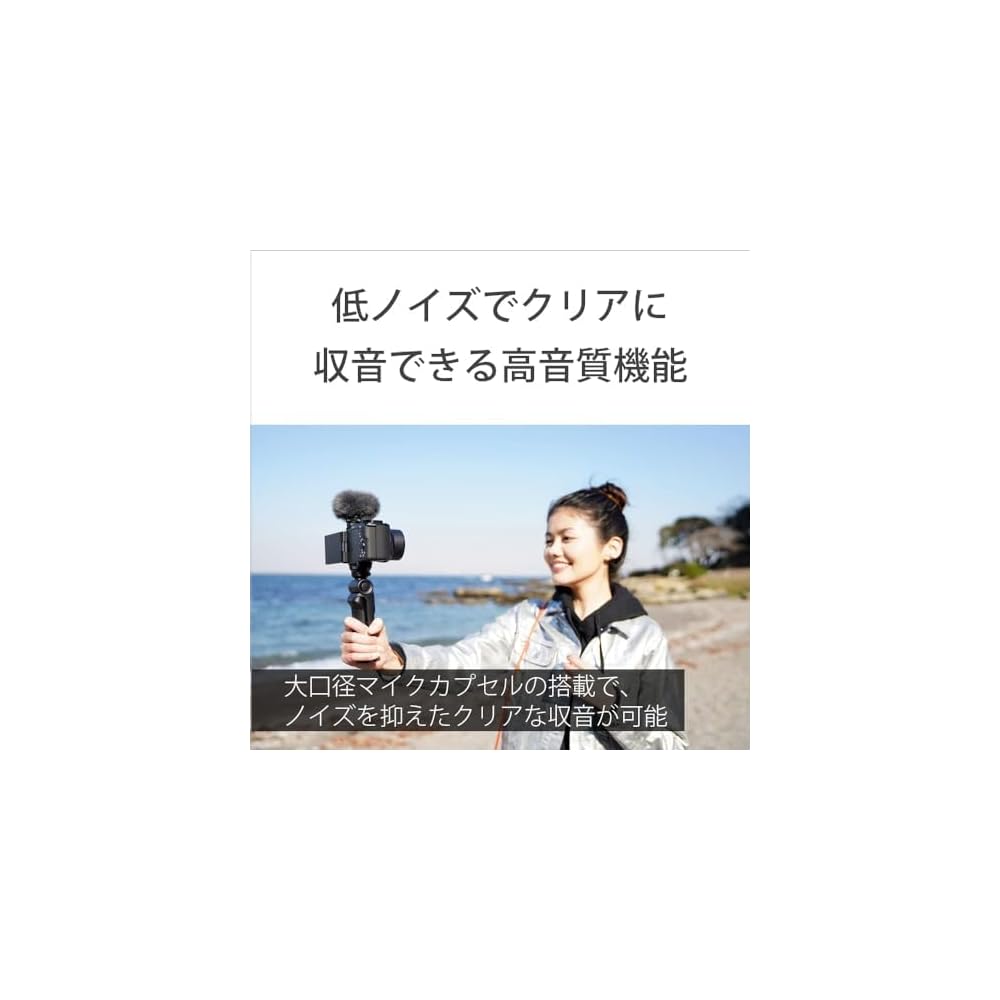 SONY ECM-G1 Shotgun Microphone for Cameras, Forward Directional, with Windscreen