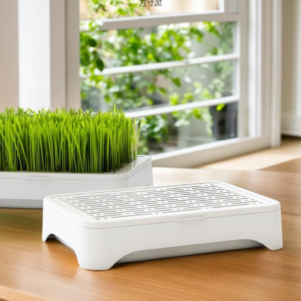 Plastic Cat Grass Planter Self-planted Tray Wheat Seedling Pot Growth Planter Indoor Growing