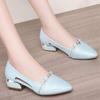 Shallow-mouthed Shoes Women's Low-heeled Spring and Autumn Shoes Joker White Thick Heel Work Shoes Anti-slip