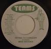 7inch Record MIKE BROOKS - Trying To Conquer None Teams 2006 Jamaica Reggae, Ska & Dub Used