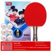 DHS Table Tennis Racket - Beginner To Pro Level, Horizontal & Vertical Orientation
