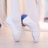 Girls Ballet Shoes Canvas Dance Shoes Dancing Gymnastics Yoga Shoes