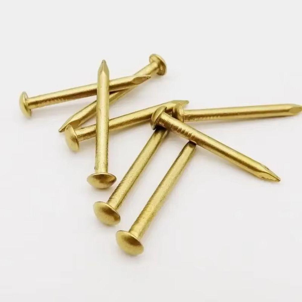 100 pcs Round Head Brass Nails Pure Brass Decorative Pins Small Brass Nails Models Crafts