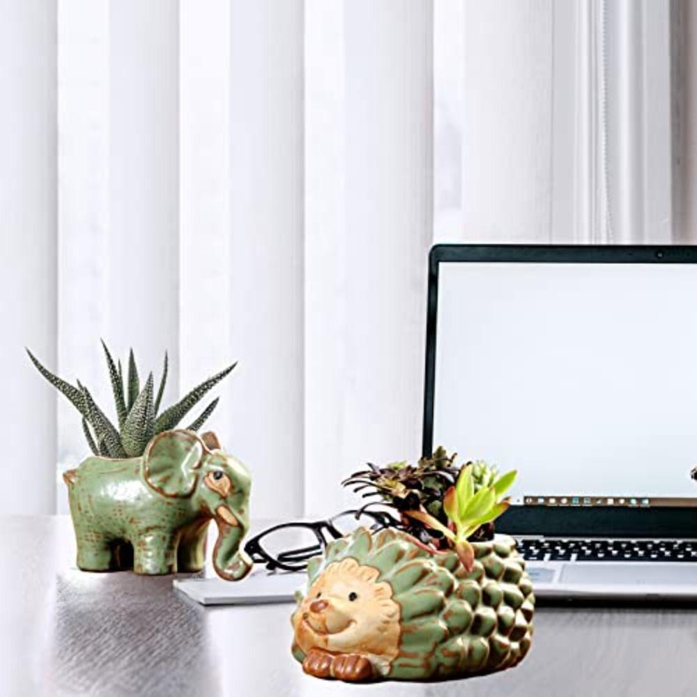 Ceramic Cartoon Animal Planter Small Succulent Plant Pot Ornament Hedgehog Flowerpot Home