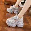 Dad Shoes Women's 2025 Summer New Hollow Breathable Sandals Versatile Sports Casual Shoes Thick-soled Women's Shoes