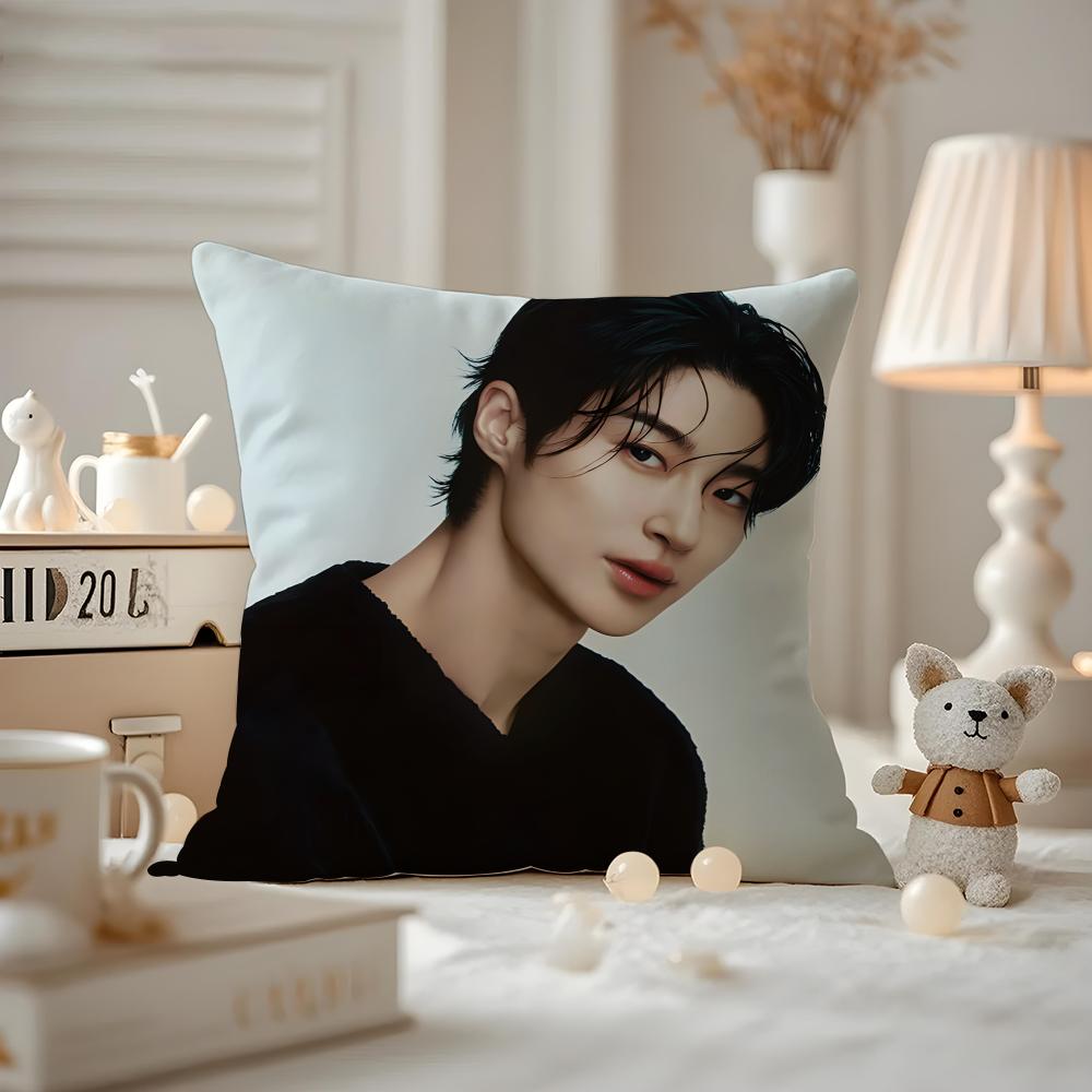 Чехол для подушки с принтом узора Byeon Wooseok Наволочка для подушки на диван в гостиной и декор спальни