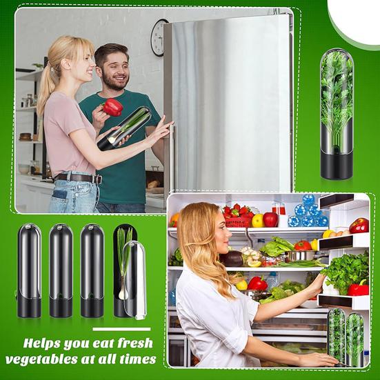 Хранитель трав для холодильника. Консервант для овощей. Хранитель свежести кинзы. Водонепроницаемые контейнеры для хранения тимьяна и укропа. Инструменты для консервации розмарина.