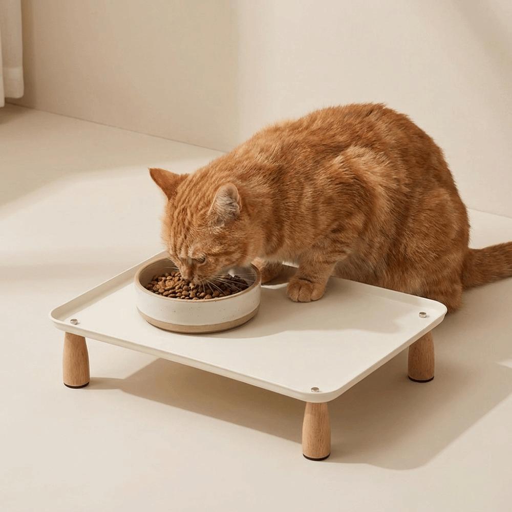 Spill Proof Raised Feeder Sturdy Cat Feeding Station Elevated Pet Feeding Stand Balcony