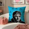 Melodic Pop British Singer EEd Sheeran Cushion Cover Pillowcase Short Plush Invisible zipper Room Sofa Cushion Cover