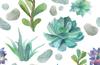 GLASS PROTECTIVE PLATE FOR STOVE 80x52 CACTUS